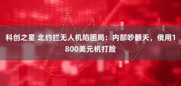 科创之星 北约拦无人机陷困局：内部吵翻天，俄用1800美元机打脸