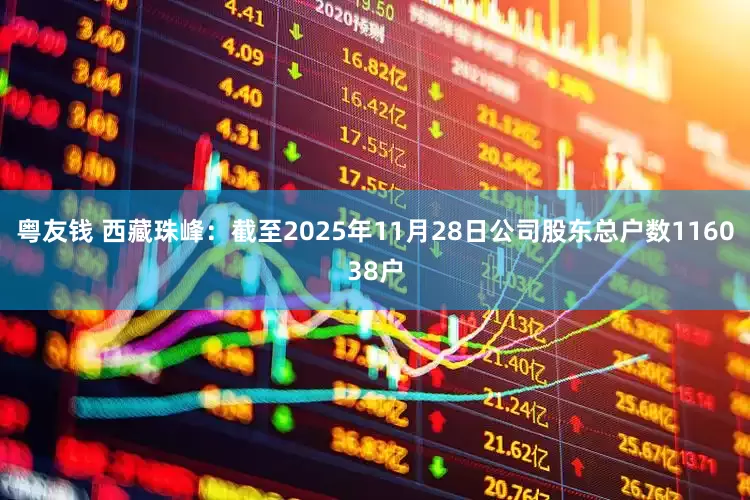 粤友钱 西藏珠峰：截至2025年11月28日公司股东总户数116038户