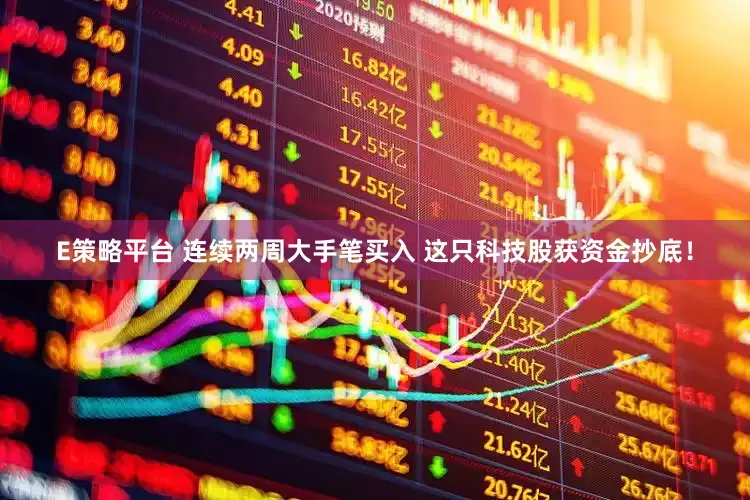 E策略平台 连续两周大手笔买入 这只科技股获资金抄底！